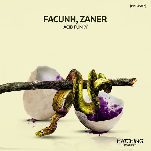 Facunh, Zaner - Acid Funky [HATCH257]